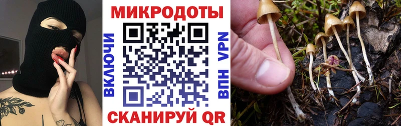 Псилоцибиновые грибы мухоморы закладки Домодедово